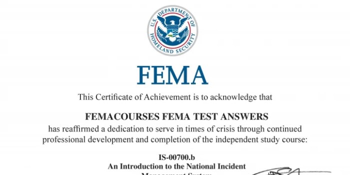 Fema is 700 answers to test