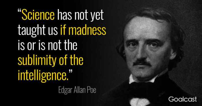 Quotes from edgar allan poe the black cat