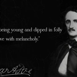 Quotes cat poe quotesgram