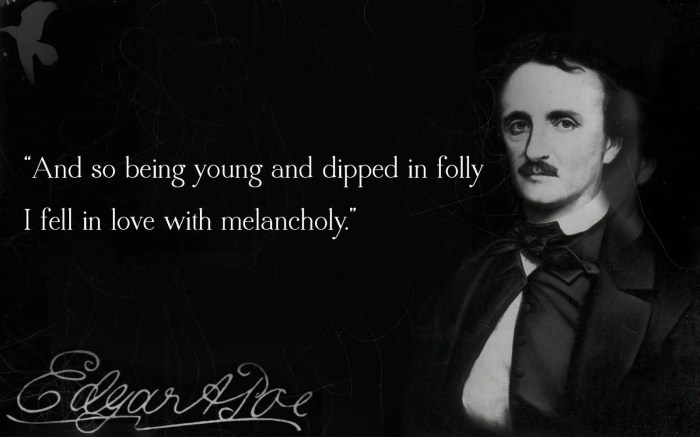 Quotes cat poe quotesgram