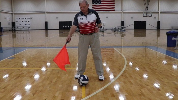 Line judging volleyball hand signals