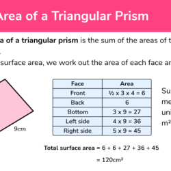 Surface area triangular prism worksheet