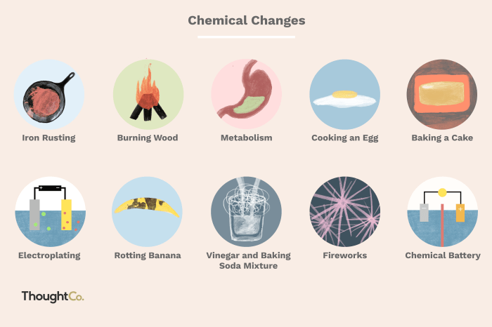 Grass grows chemical or physical change