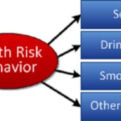 Risk behavior behaviors presentation