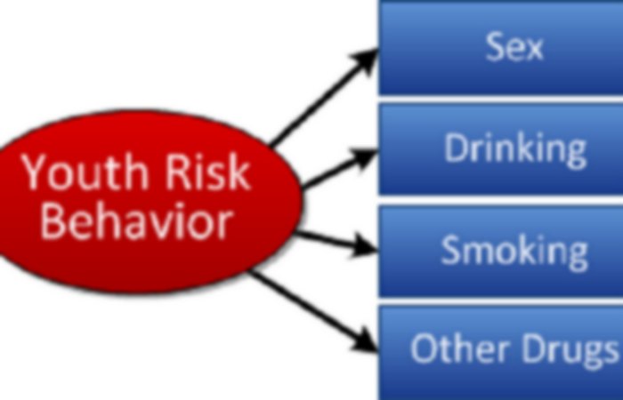 Risk behavior behaviors presentation