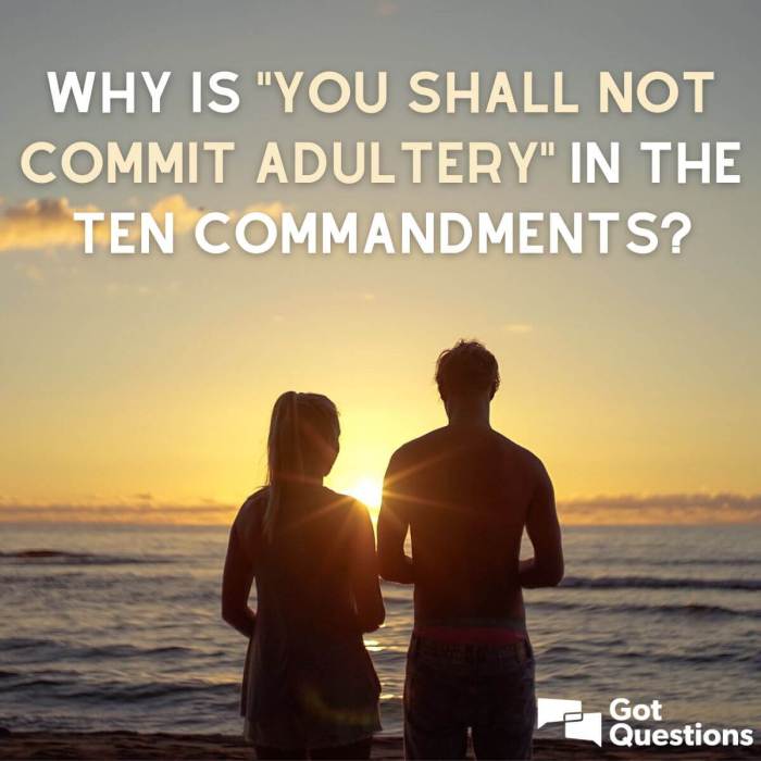 Thou shalt commit adultery crossword