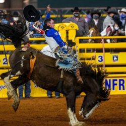 Rodeo cowboys prca