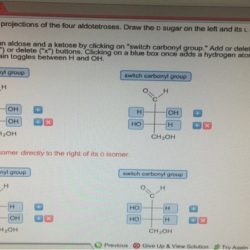 Draw fischer projections four left isomer sugar right directly its clicking blue switch delete between box add oh solved carbonyl