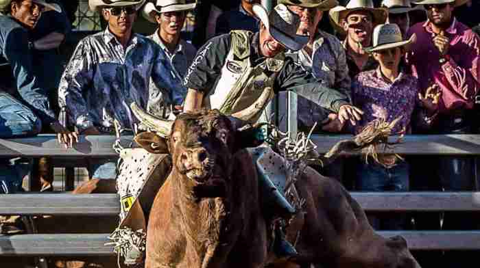 Professional rodeo cowboys association rule book