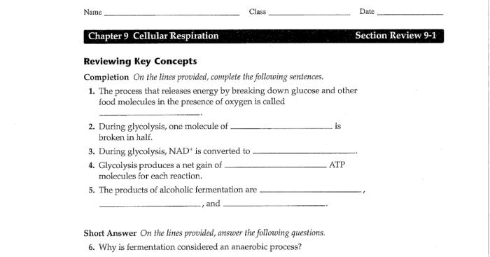 Chapter 11 lesson 3 regulating the cell cycle answer key