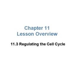 Chapter 11 lesson 3 regulating the cell cycle answer key