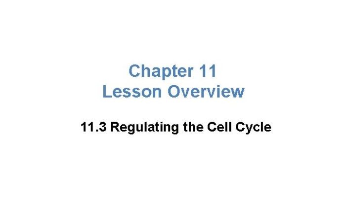 Chapter 11 lesson 3 regulating the cell cycle answer key