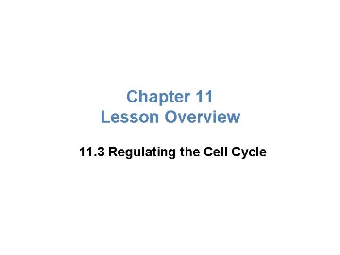 Chapter 11 lesson 3 regulating the cell cycle answer key