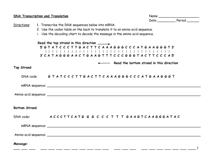 Dna transcription and translation practice worksheet answers